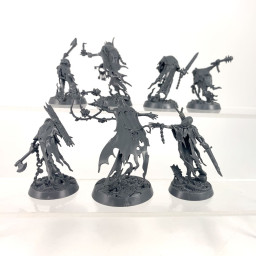 Thorns of the Briar Queen