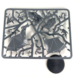 Sangtinelle Abhorrante