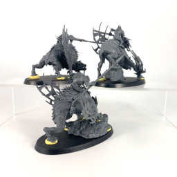 Chevaliers de Morbheg