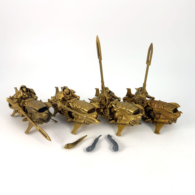 Shield-Captains on Dawneagle bikes incomplet