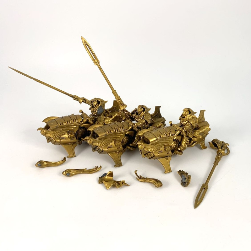 Shield-Captains on Dawneagle bikes incomplet