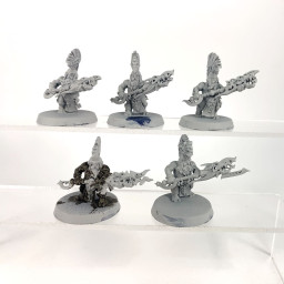 Auric Hearthguard