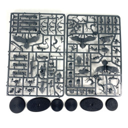 Vanguard-Raptors avec...