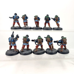 Cadian shock troups