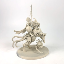 Arch-Kavalos Zandtos