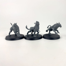 Gryph-hounds