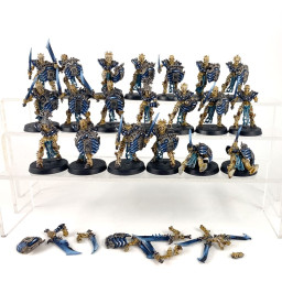 Mortek Guards