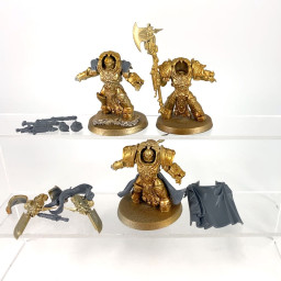 Shield-Captain in Allarus...