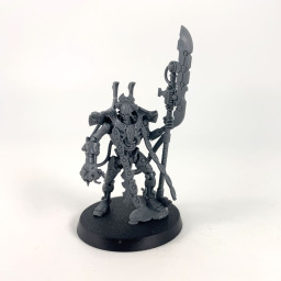 Necrons Overlord