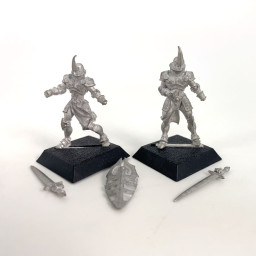 Conscrits du griffon incomplet