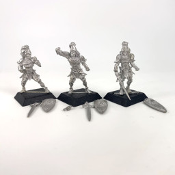 Lions d'Alahan : Gardes royaux