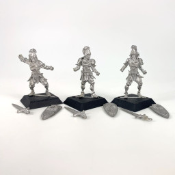 Lions d'Alahan : Gardes royaux