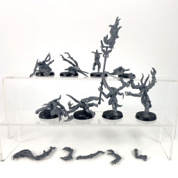 Horrors of Tzeentch (pink)