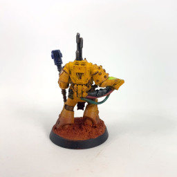 Consul Briseur de Siège