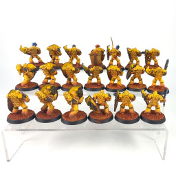 Phallanx Warder squad