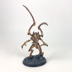 Lictor