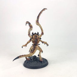 Lictor