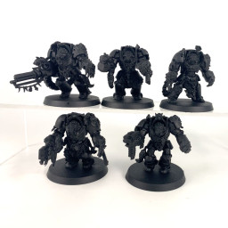 Wolf Guard Terminators