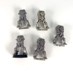 Wolf guard incomplet