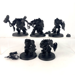 Wolf Guard Terminators