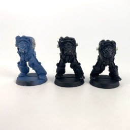 Wolf guard incomplet