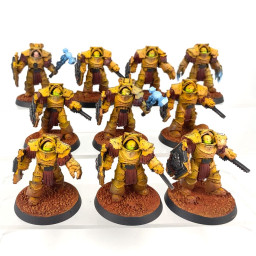 Cataphractii terminator squad + storm shields