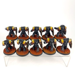 Cataphractii terminator squad