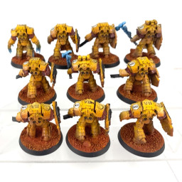 Cataphractii terminator squad + storm shields