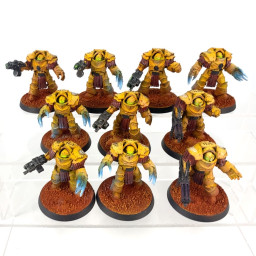 Escouade Terminators Cataphractii