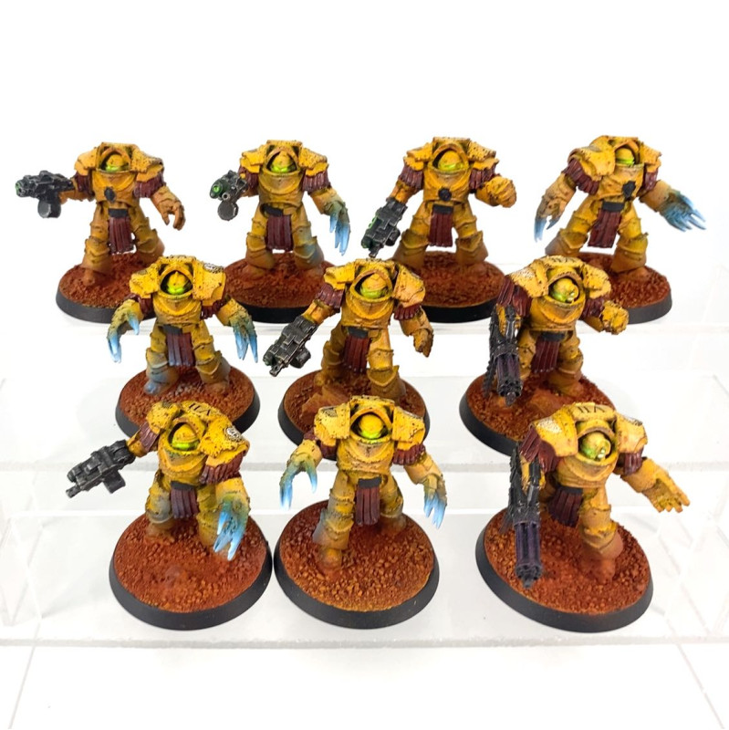 Escouade Terminators Cataphractii