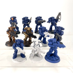 Primaris intercessors
