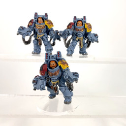 Primaris aggressors
