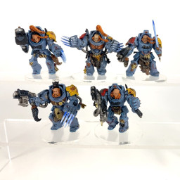 Terminators Gardes Loups