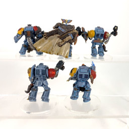 Wolf Guard Terminators