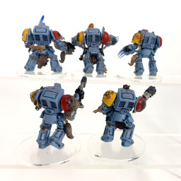 Terminators Gardes Loups