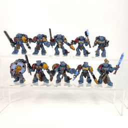Primaris intercessors
