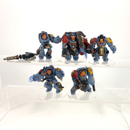 Wolf Guard Terminators