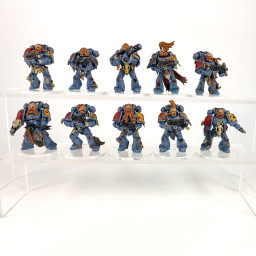 Primaris intercessors