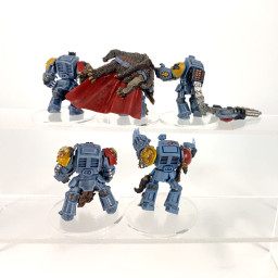 Terminators Gardes Loups