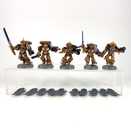 Sanguinary Guard Old