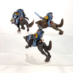 Cavalerie loups tonnerre