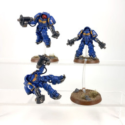 Primaris inceptors