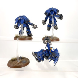 Primaris inceptors