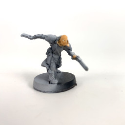 3rd Highlander Grey's