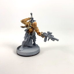 9th Wulver Grenadiers reg 