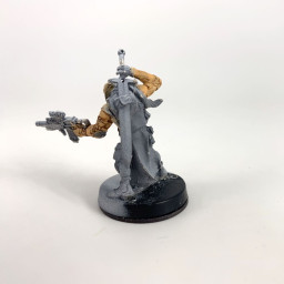 9th Wulver Grenadiers reg 