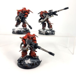 Primaris inceptors