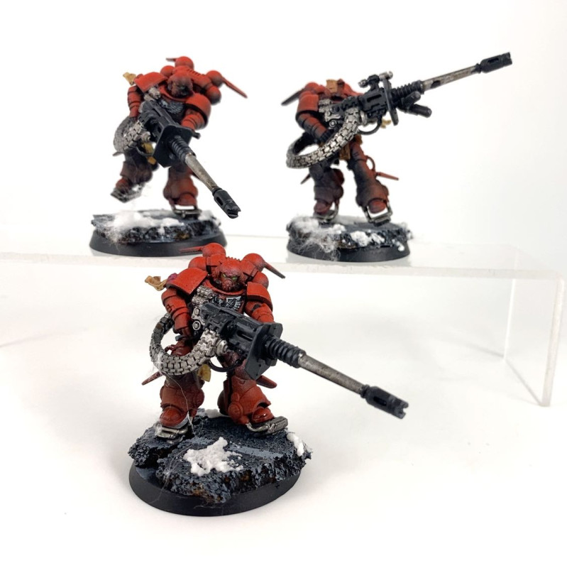 Primaris inceptors