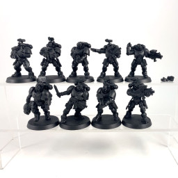 Primaris incursors