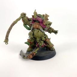 Typhus incomplet